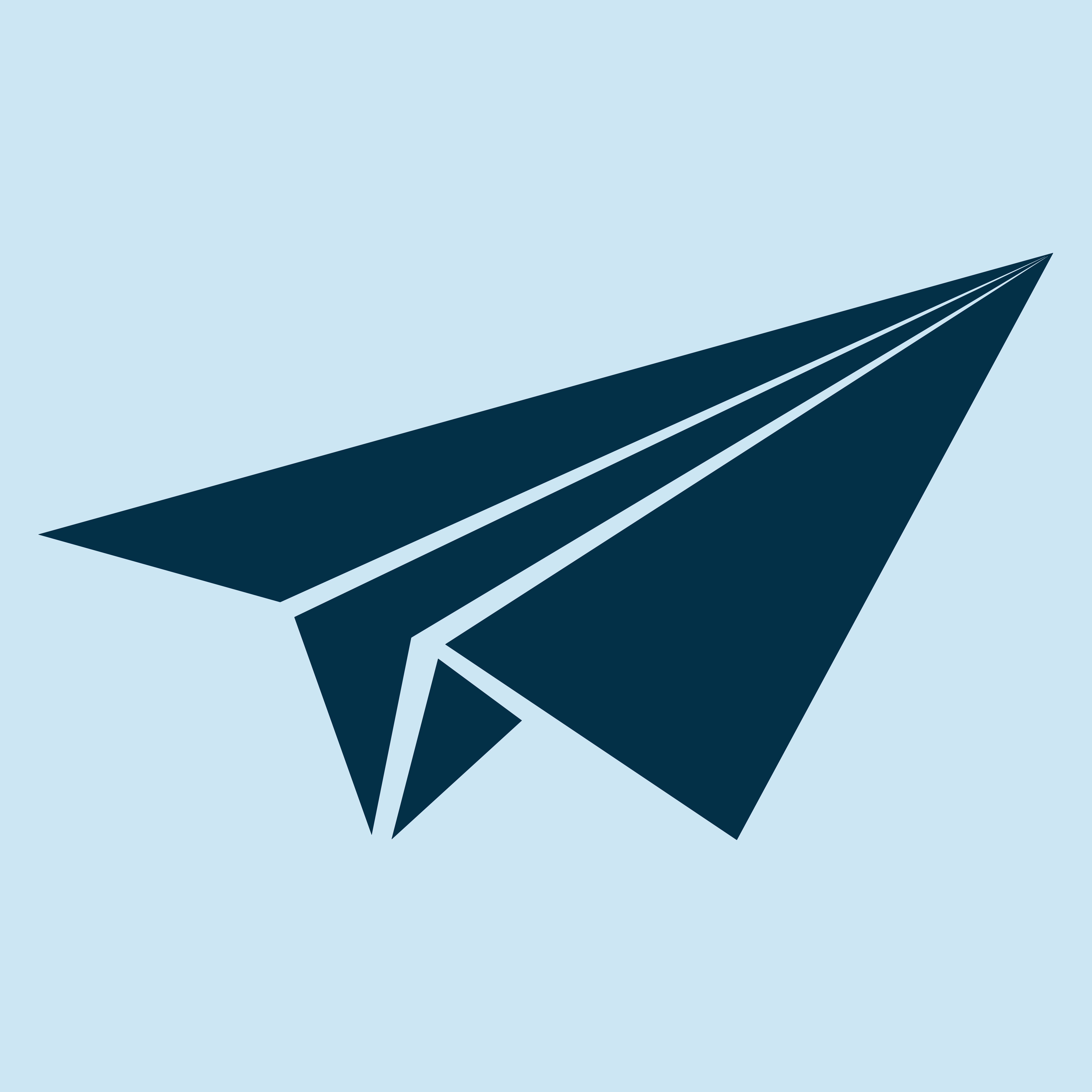 PapeX Logo